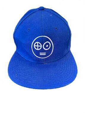 Otto Blue Snapback Hat Minimal Logo